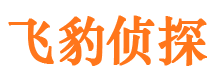 游仙侦探公司